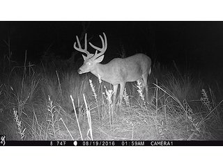 Property photo 61 - LAND AUCTION - 440+/- ACRES OFFERED IN 17 TRACTS IN OSAGE CO., OKLAHOMA